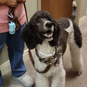 Catawba Valley Obedience Club, Hickory NC